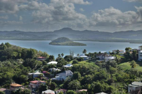 La terre des îlets Martinique